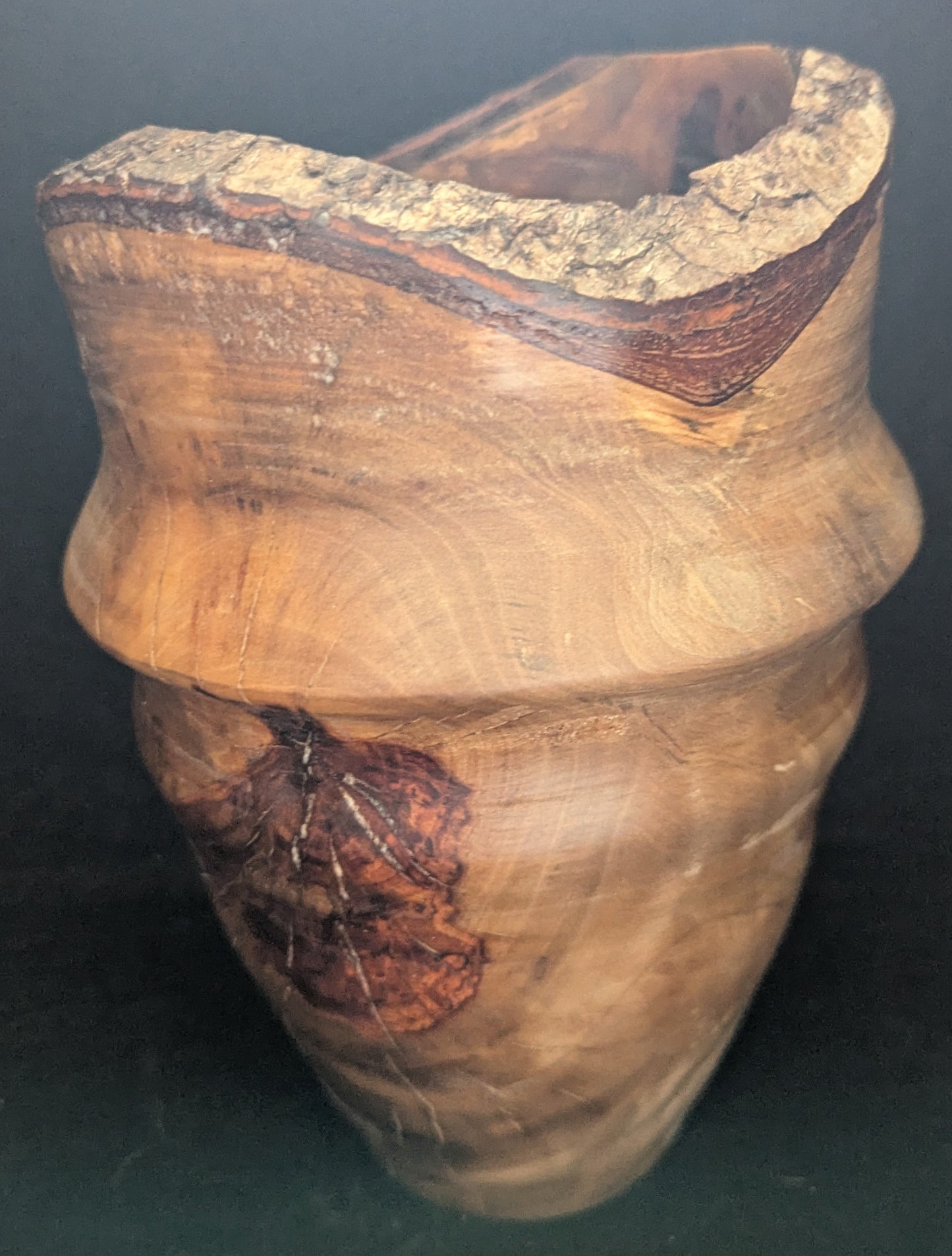 Natural Live Edge Willow Oak Vase