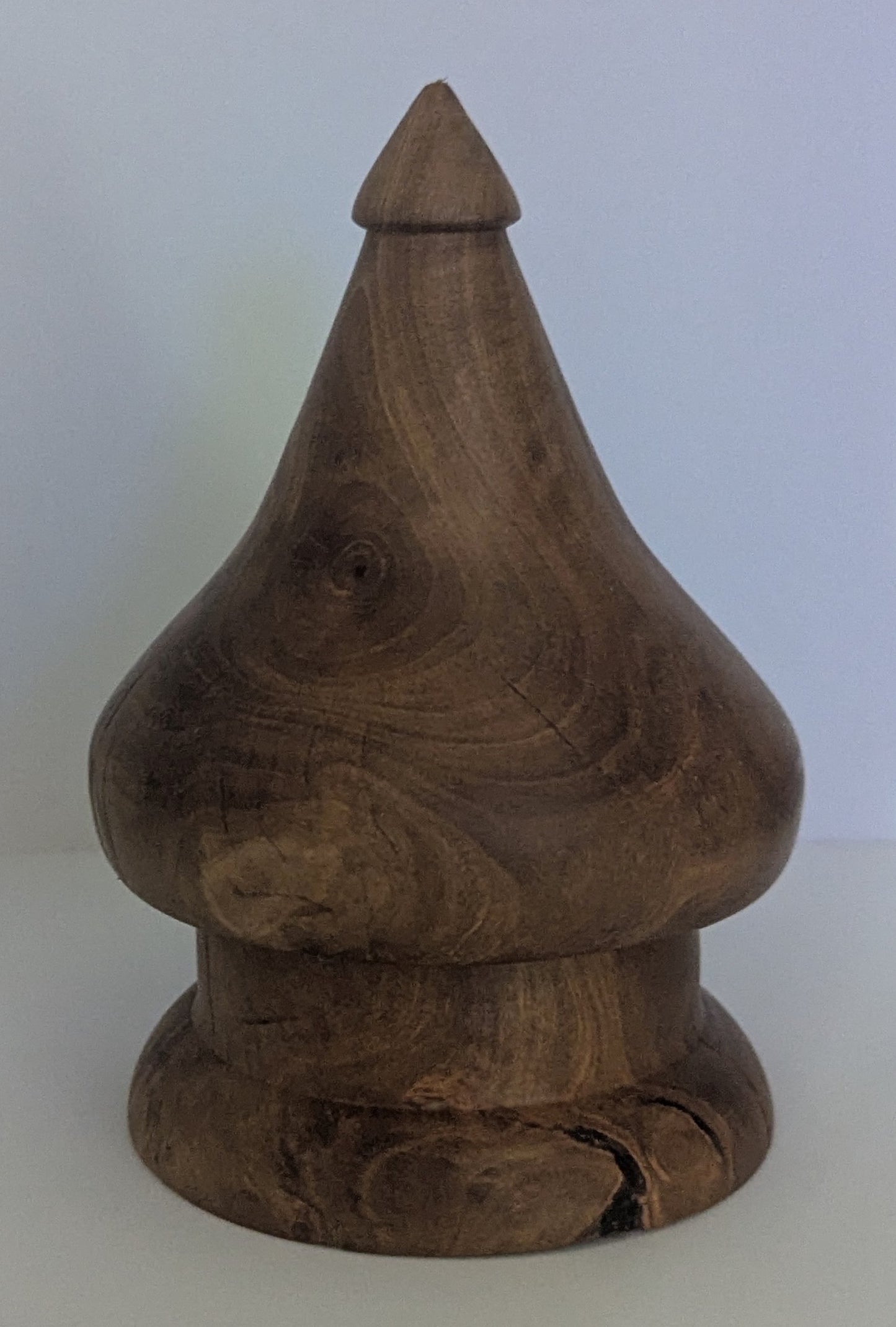 Christmas Decorations $20